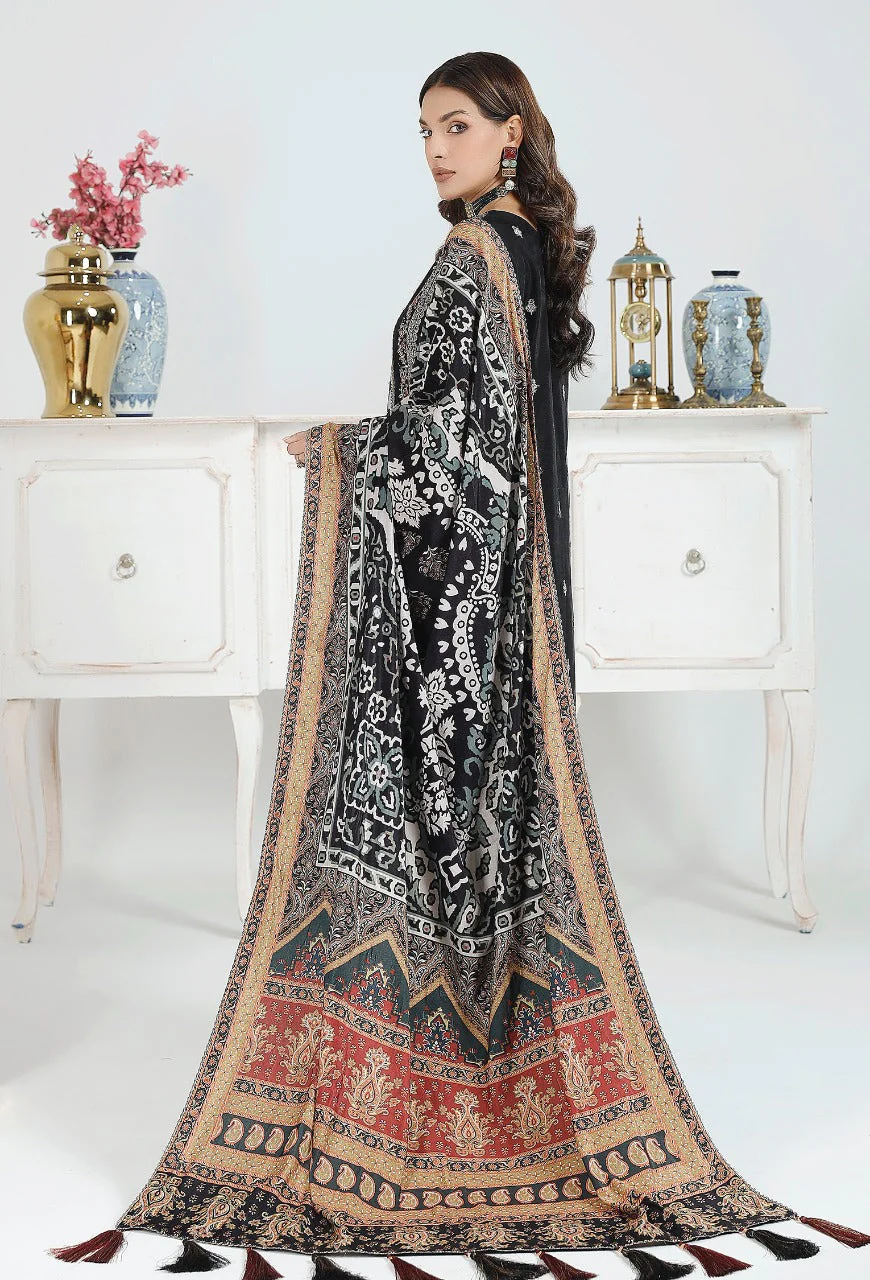 Adan's Libas Embroidered Velvet Collection Vol-2 – Midnight Glaze - Image 2
