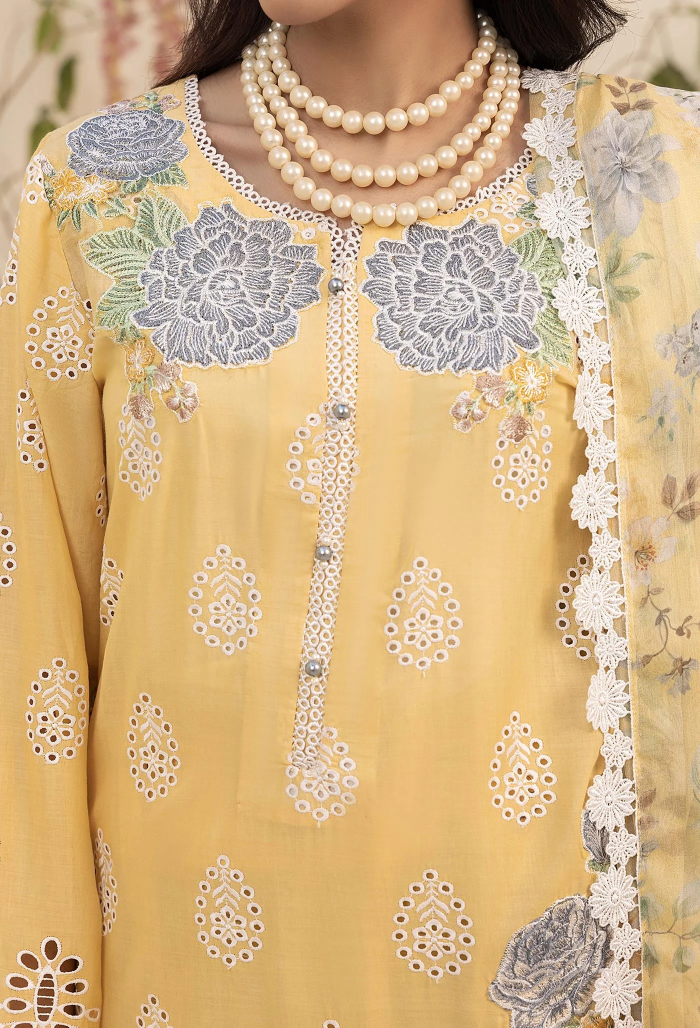 Adan's Libas Haelyn Schiffli Embroidered Lawn – D-5 - Image 4