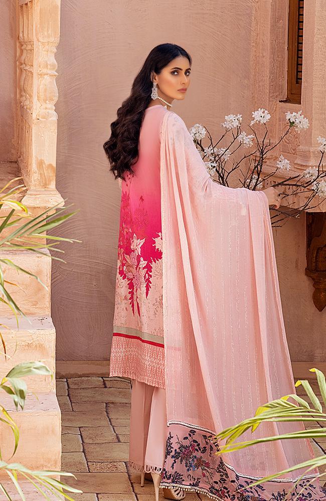 Al Zohaib Festive Hues Premium Collection – D-03 - Image 4