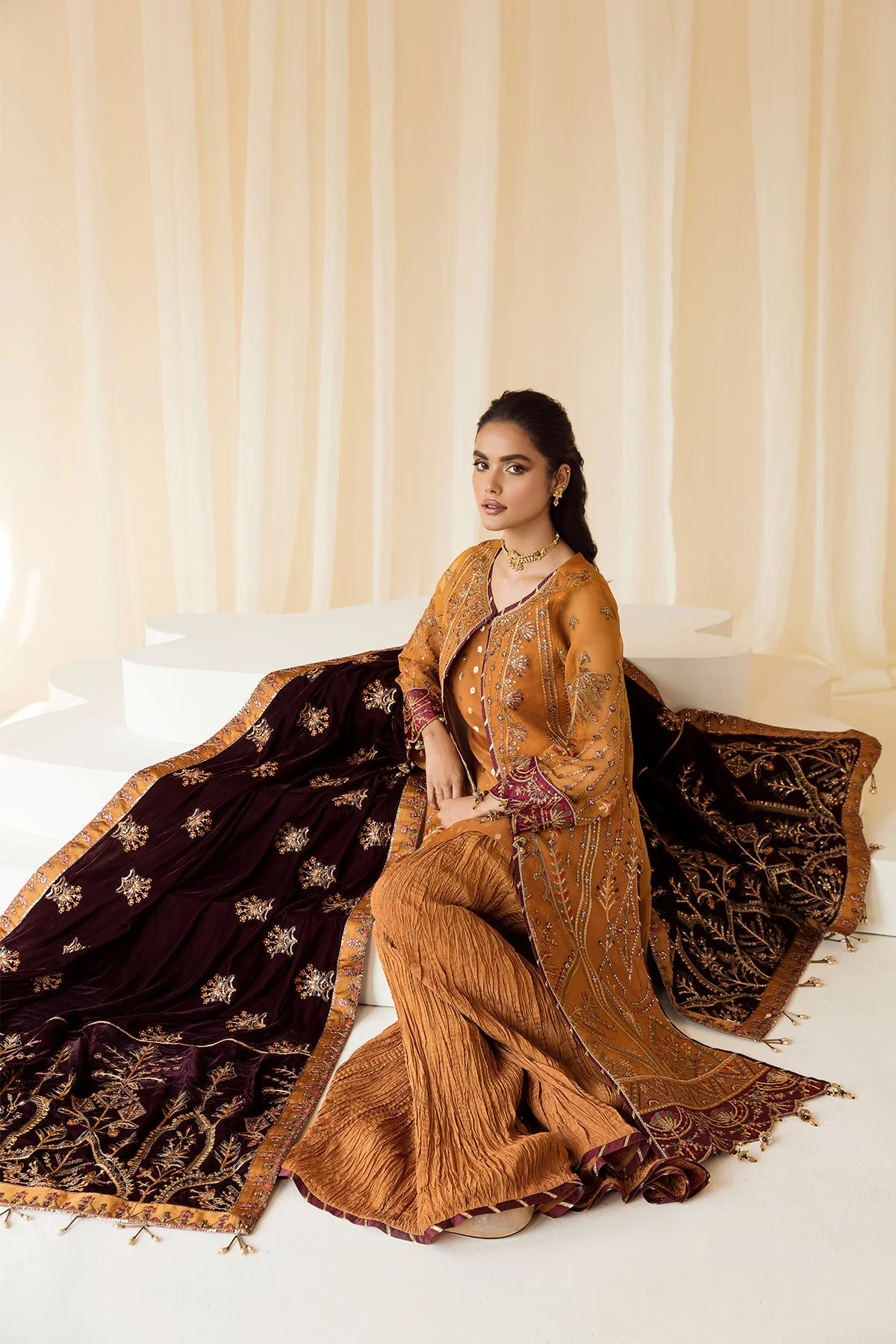 Alizeh Premium Velvet Edit – Zar Begum - Image 7