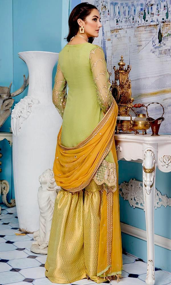 Elaf Premium Chiffon Collection 2019 Vol-4 – ELV4-405 - Image 3