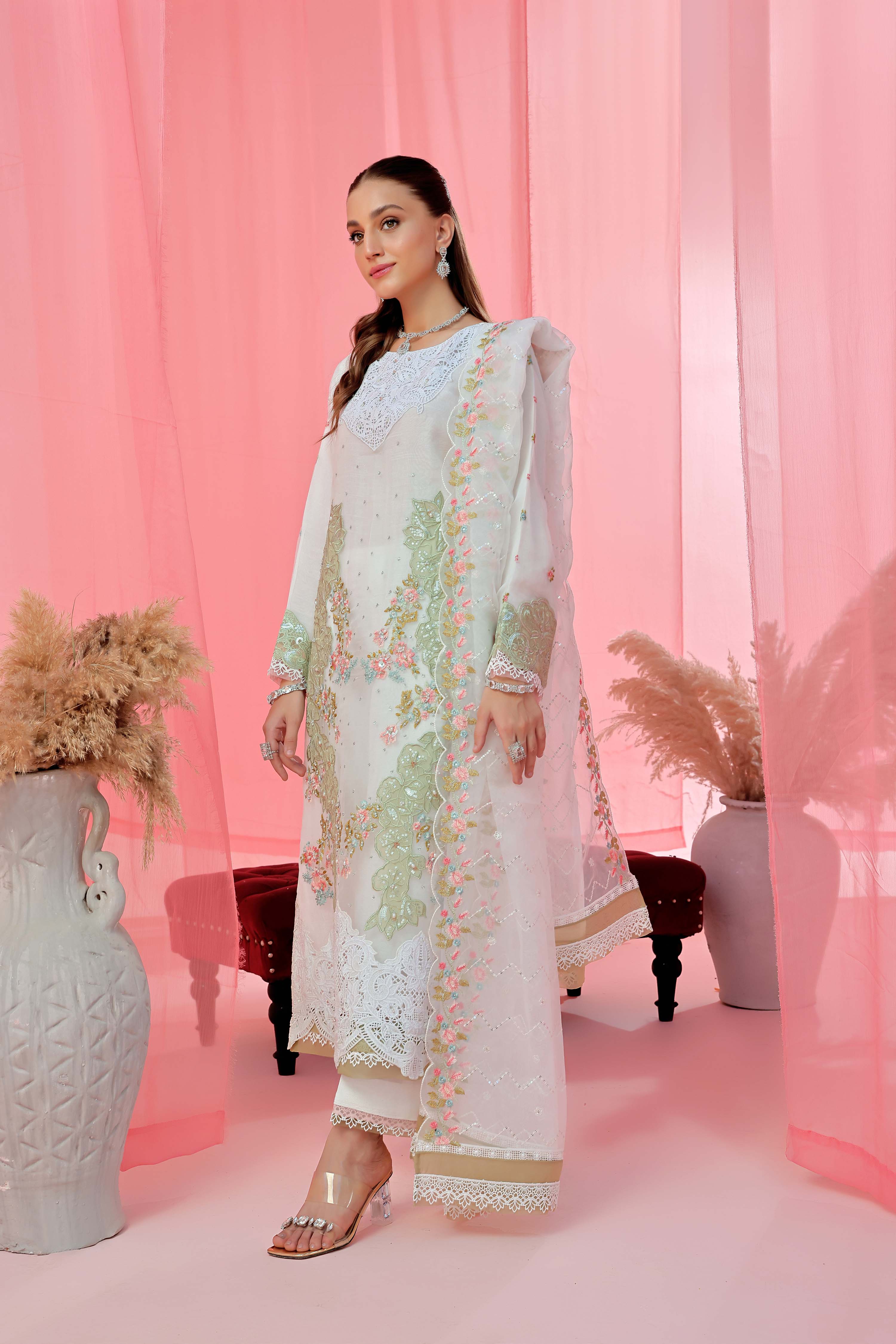 Guzel Noori RTW Organza Formal Pret – Chandni - Image 4