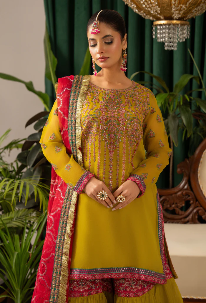 Humdum Luxury Chiffon Formals – D06 - Image 4
