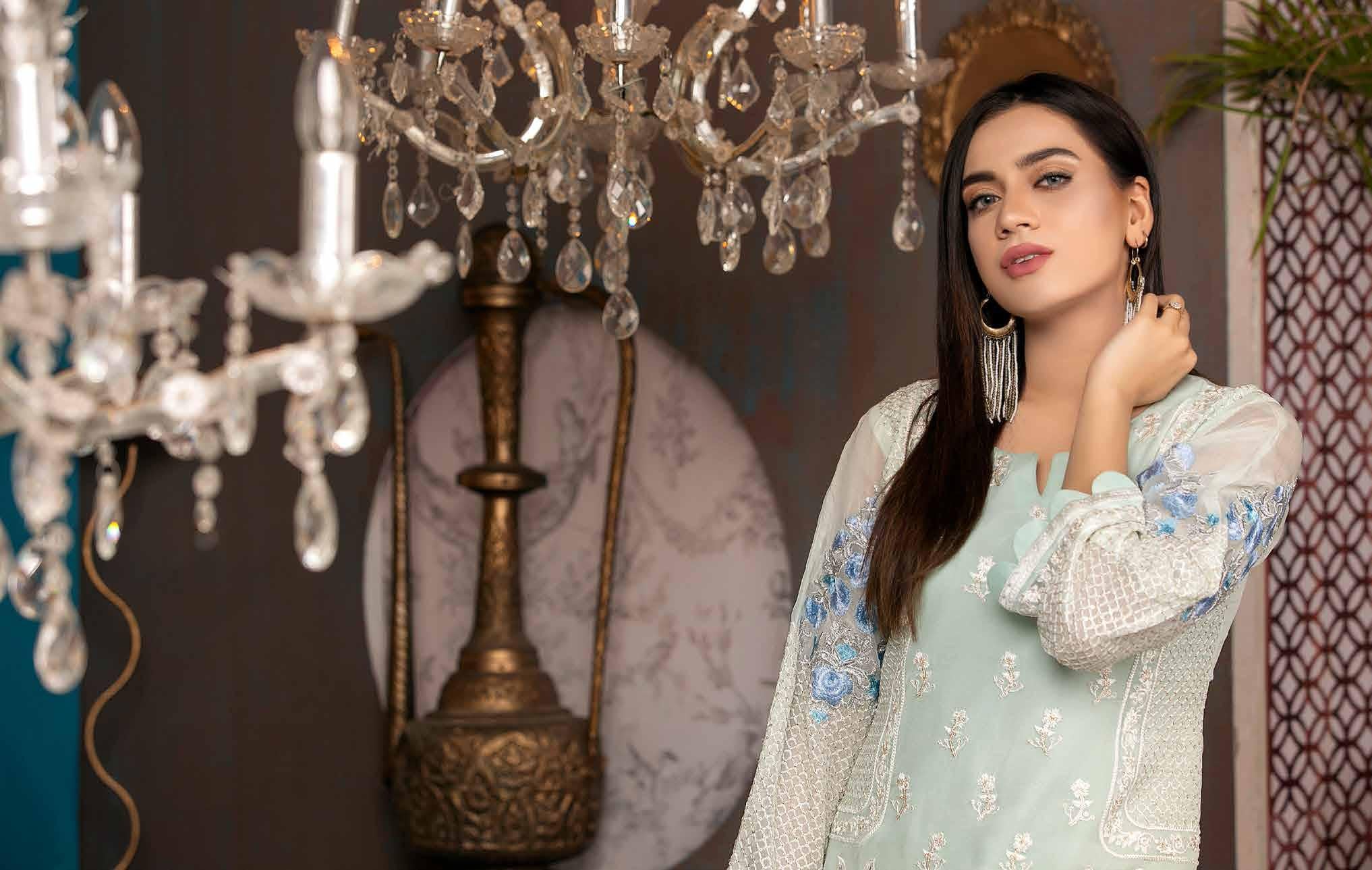 Merakish Luxury Chiffon Kurti Collection – D-1 - Image 3