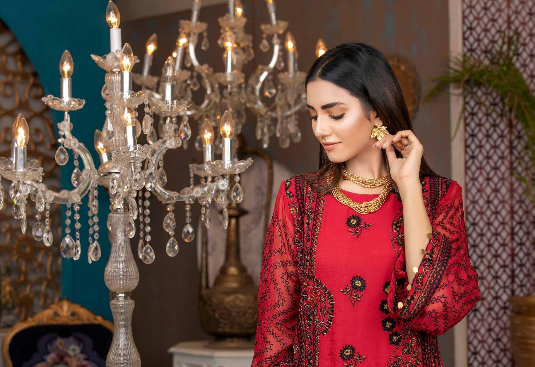 Merakish Luxury Chiffon Kurti Collection – D-3 - Image 3