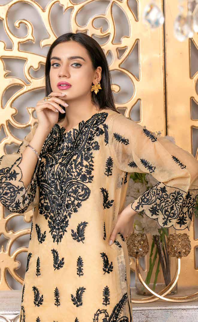 Merakish Luxury Chiffon Kurti Collection – D-8 - Image 4