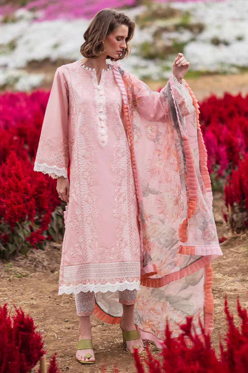 Mushq Hemline Secret Garden Lawn Collection 2024 – Rosewood - Image 2