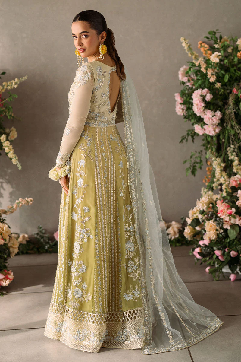 Mushq Mastani Evening Luxury Wedding Formals – Hira - Image 6