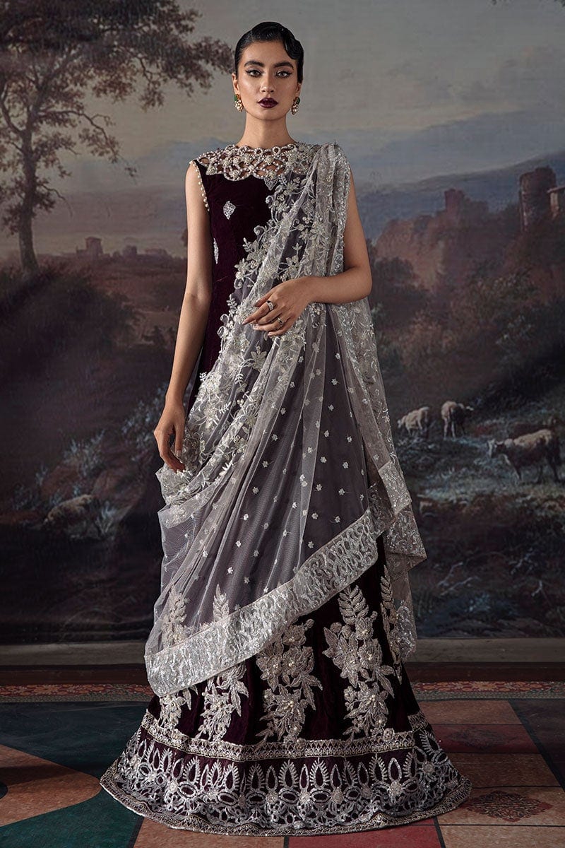 Mushq Tehzeeb Luxury Velvet Collection – Ayleen