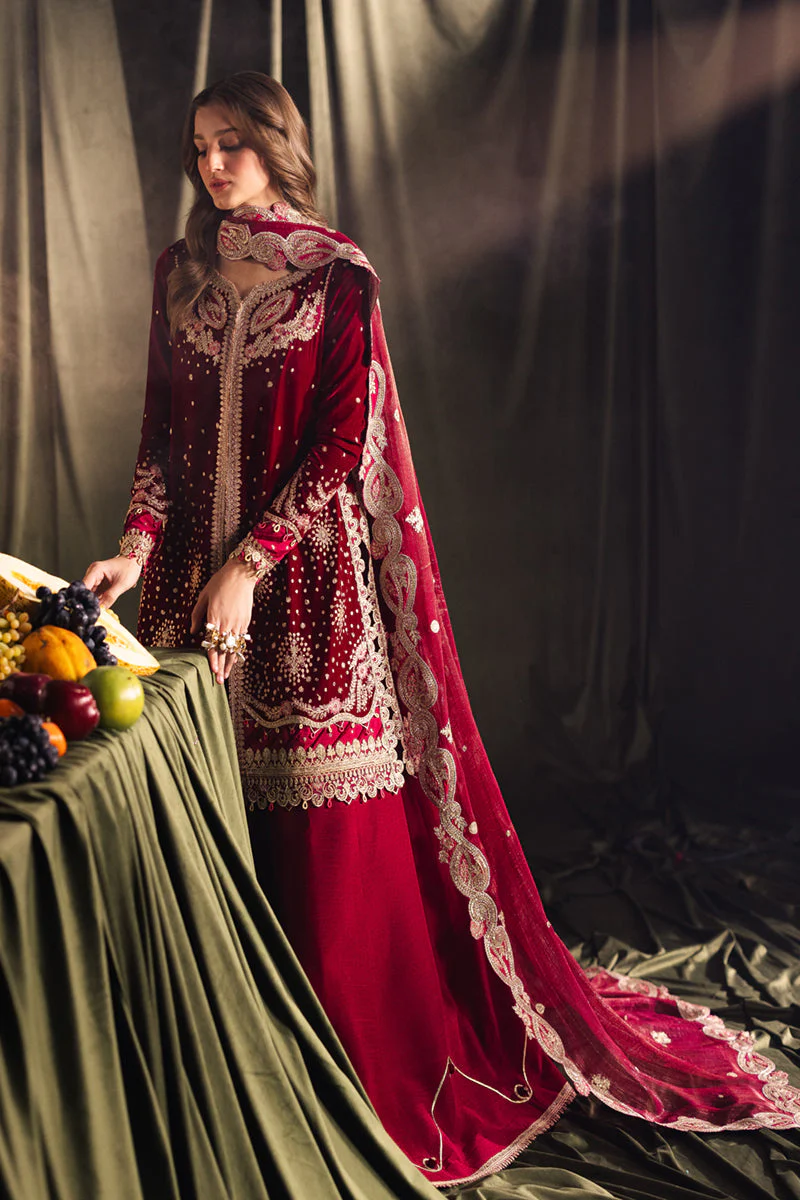 Qalamkar Luxury Velvet Edit Formals – BK-02 AMARA - Image 8