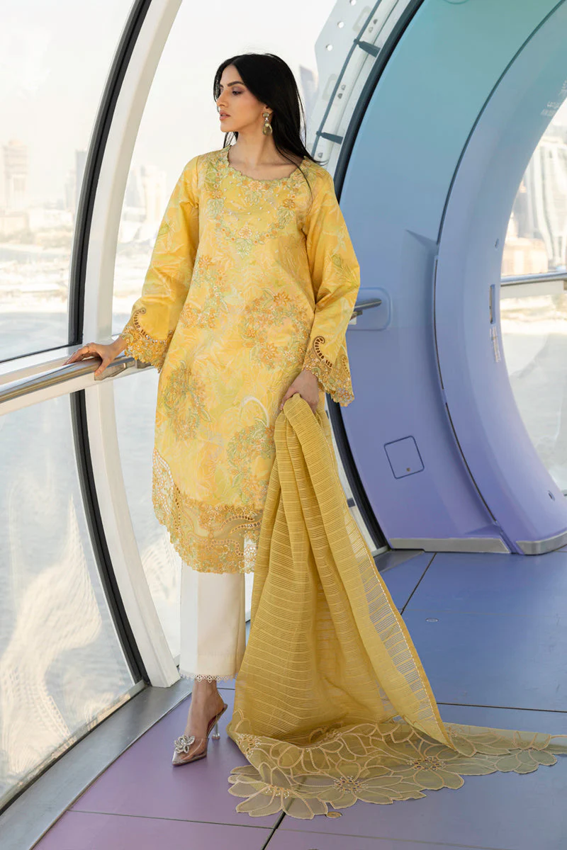 Rang Rasiya Carnation Summer Lawn Edit – Liana