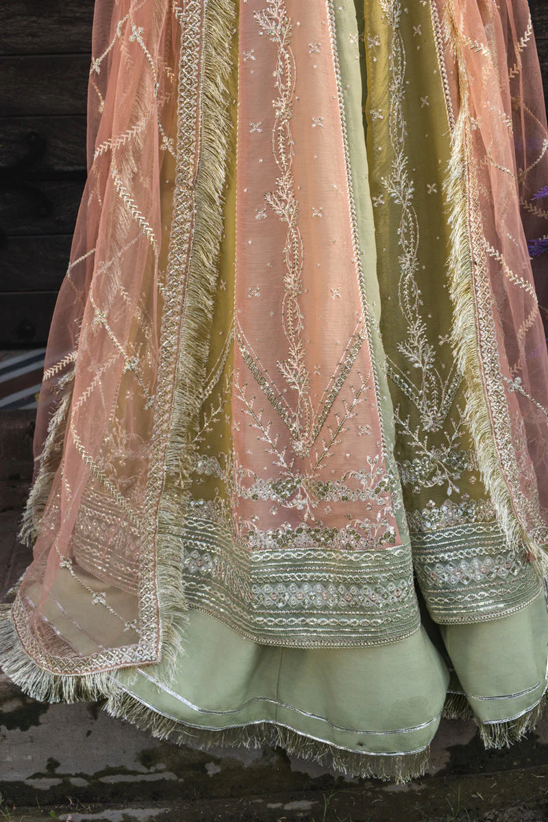 Rang Rasiya Luxury Wedding Formals – Amil - Image 6