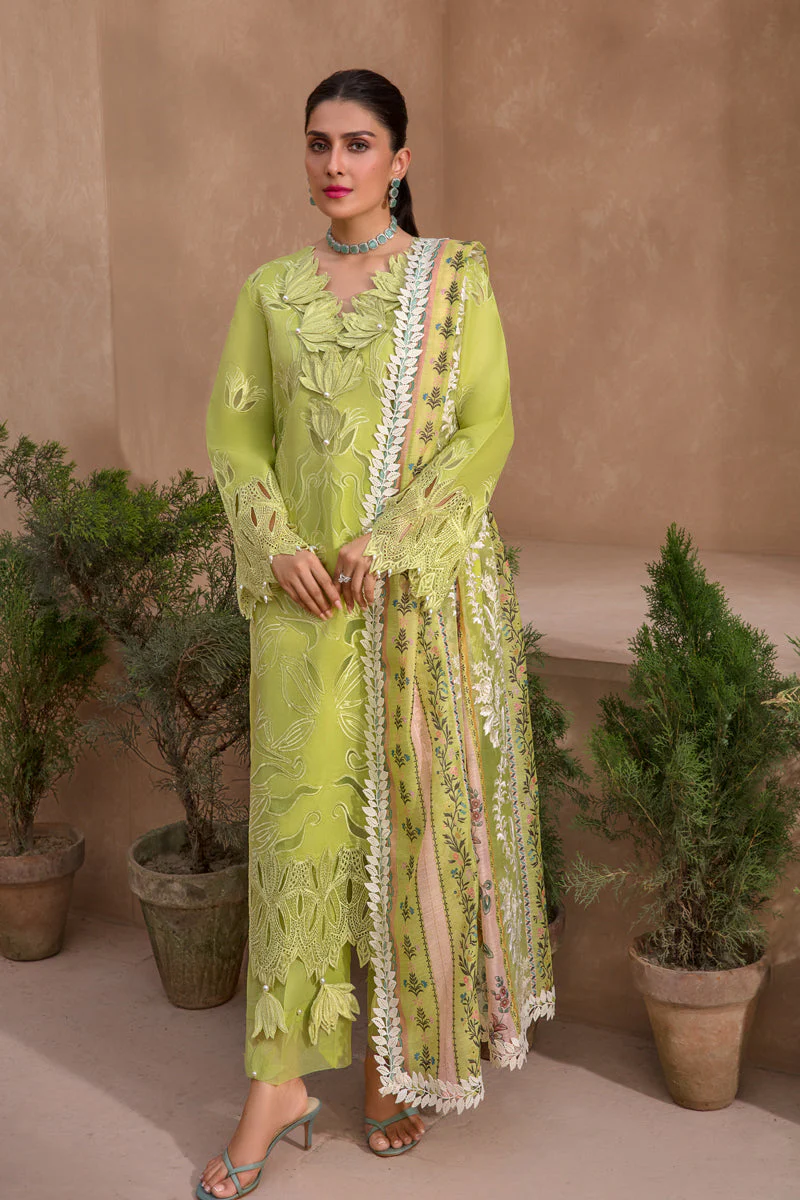 Rang Rasiya Premium Eid Lawn Collection – Lime - Image 4