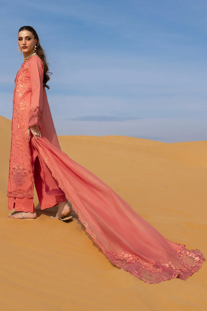 Rang Rasiya Premium Summer Lawn – Elnaz - Image 10