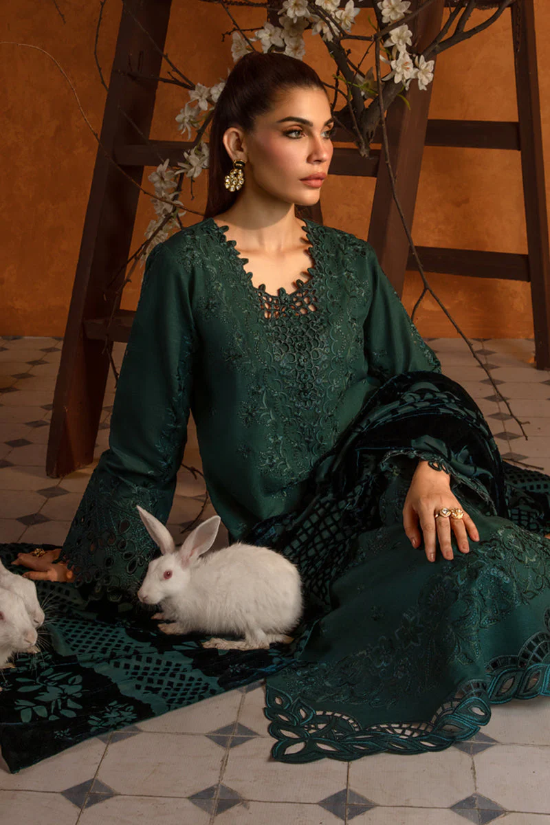 Rang Rasiya Premium Winter Edit – Affogato - Image 8