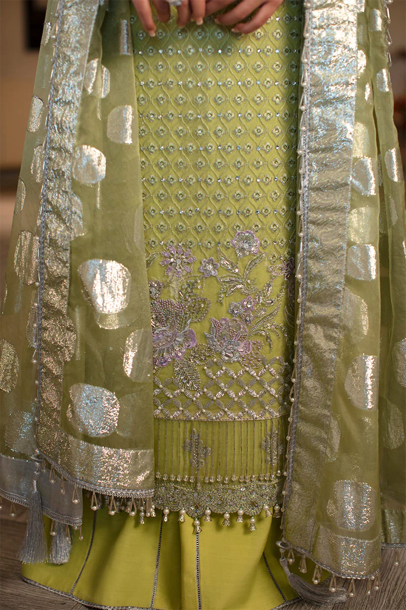 Rang Rasiya Ritzier Embroidered Wedding Series – DILNUR - Image 8