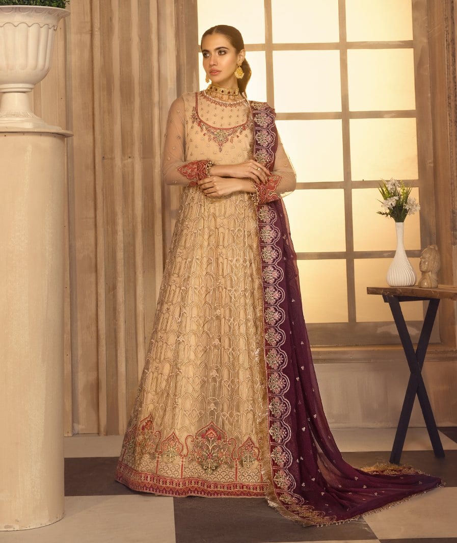 Zarif Noor e Rang Luxury Chiffon Collection – ANDAAZ - Image 3
